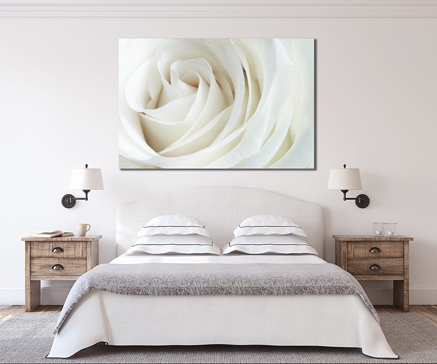 White Rose Canvas Wall Art - | MyCanvases