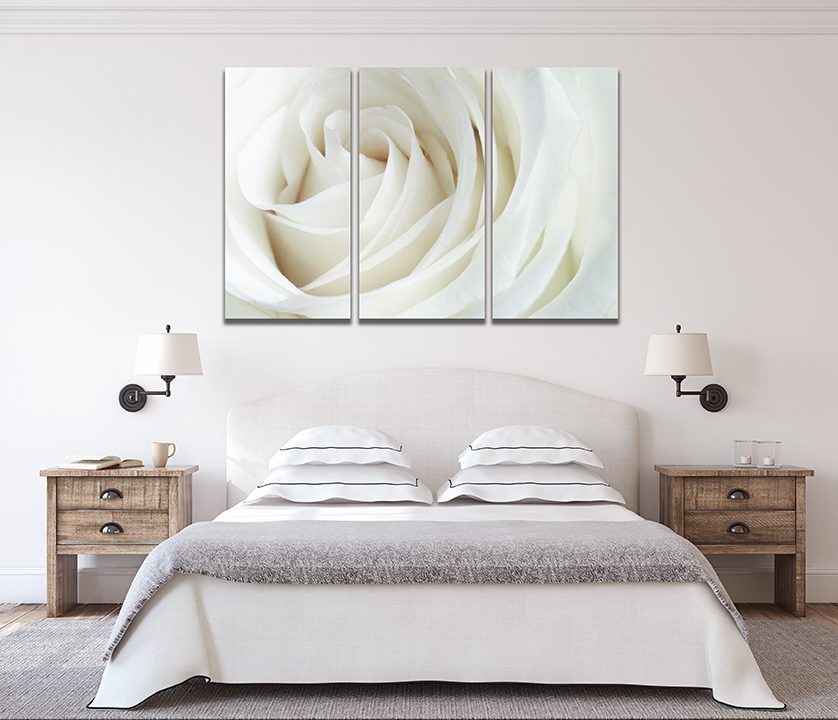 White Rose Canvas Wall Art - | MyCanvases