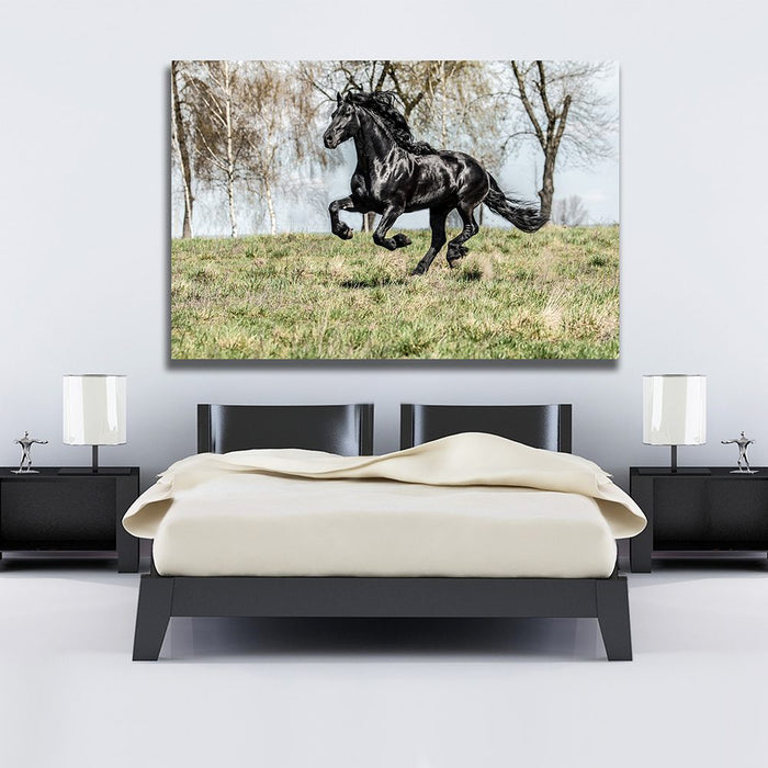 Black Horse In A Field Canvas Wall Art - MyCanvases