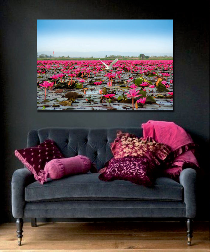 Red Lotus Flower Sea Lake Thailand Canvas Wall Art